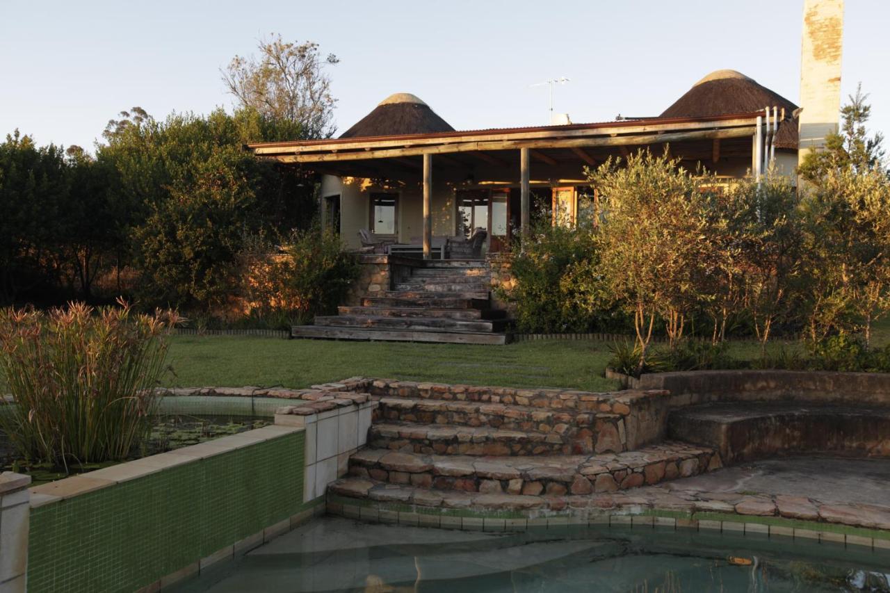 Forest Hills Knysna Extérieur photo