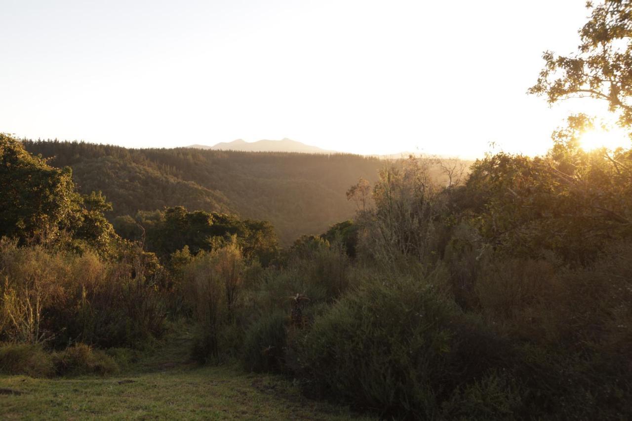 Forest Hills Knysna Extérieur photo