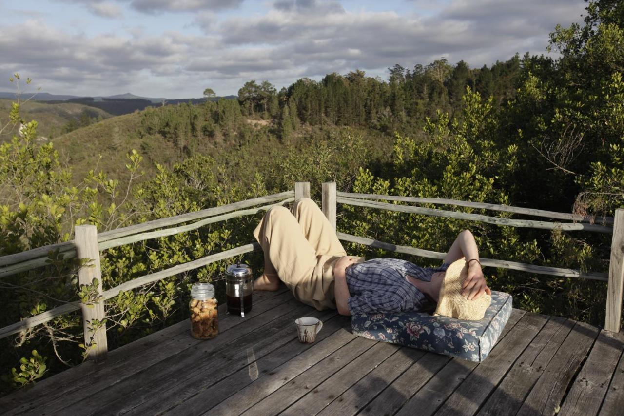 Forest Hills Knysna Extérieur photo