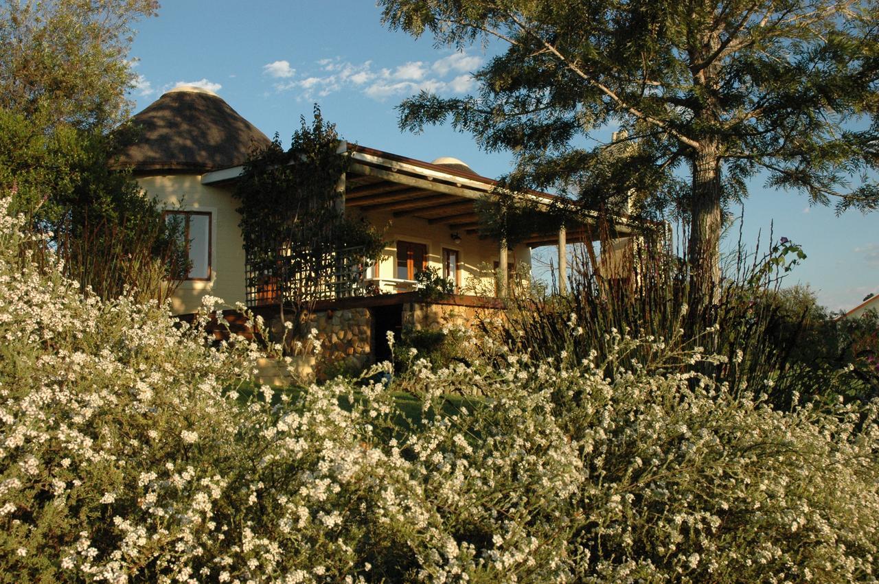 Forest Hills Knysna Extérieur photo