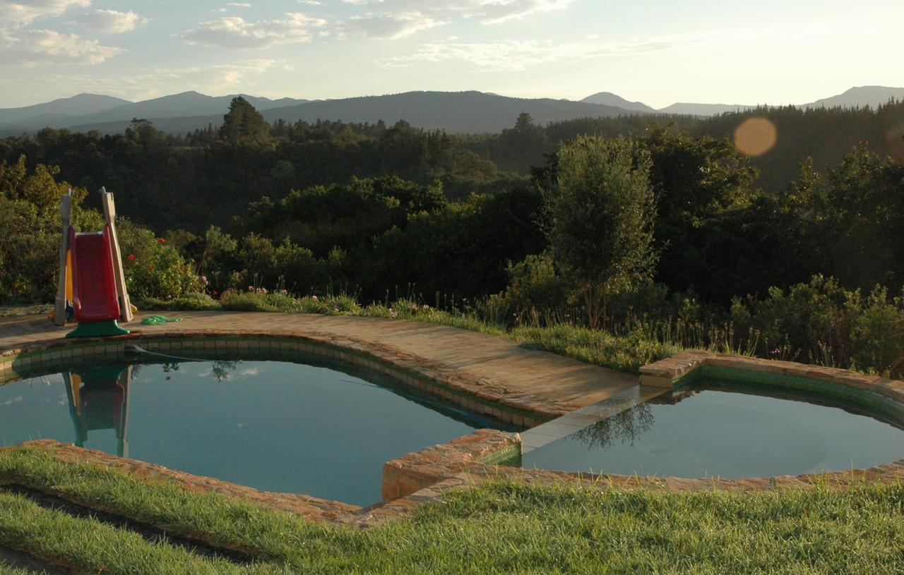 Forest Hills Knysna Extérieur photo