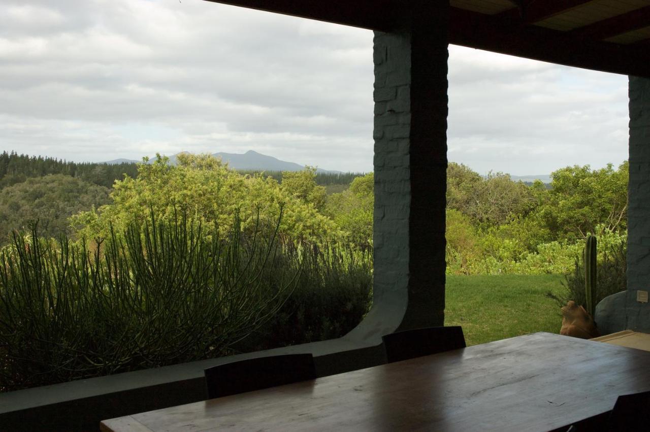 Forest Hills Knysna Extérieur photo